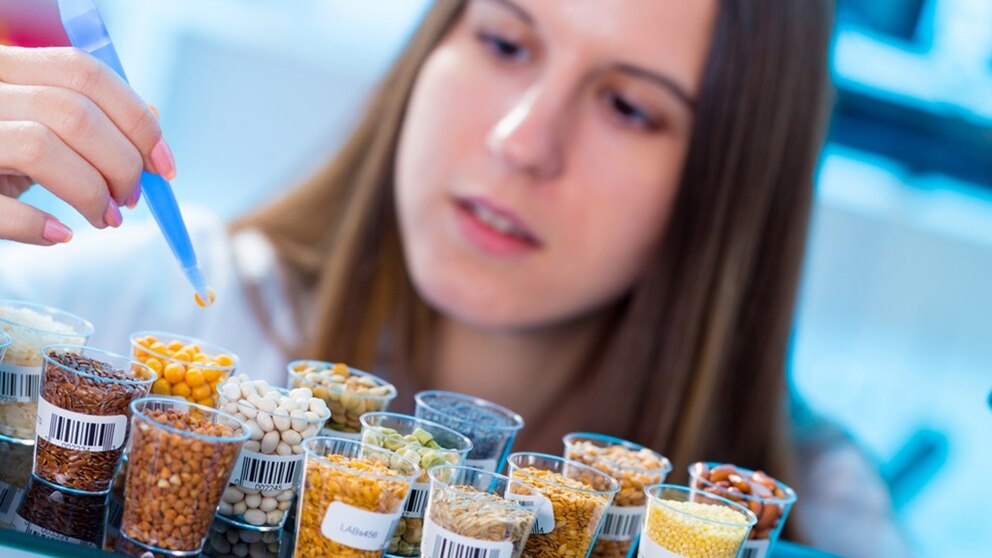 Imagen de Desarrollo de productos